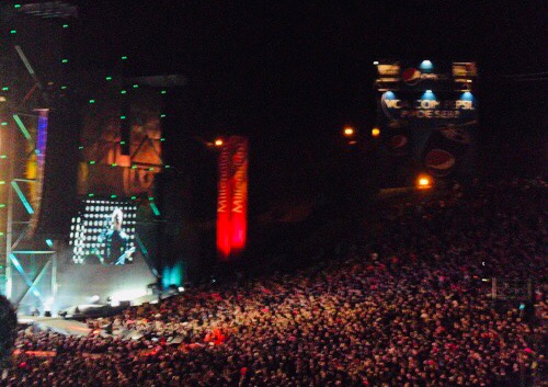 Metallica crowd 2